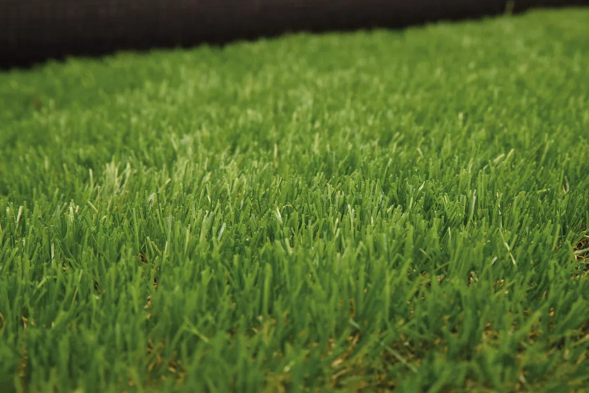 Prato Irish 30 mm H2x10mt -Tot 20mq I Rotolo Prato Artificiale Erba finta aspetto realistico Altezza 30mm | Tappeto erba Sintetica | Manto prato Effetto Naturale 20mq
